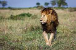 Gujarat Tour