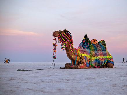 Kutch Tour Package