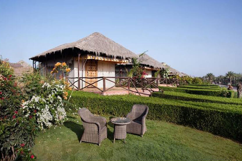 Deluxe Hut